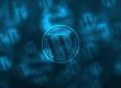 admin area wordpress